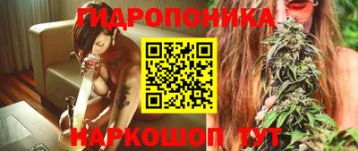 кокс Донской