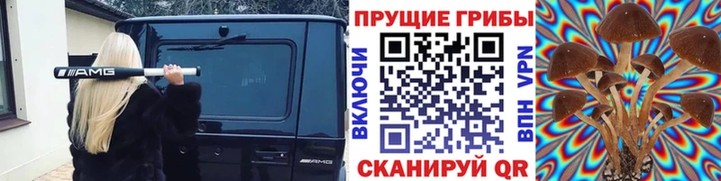 Галлюциногенные грибы GOLDEN TEACHER  даркнет сайт  Майкоп 