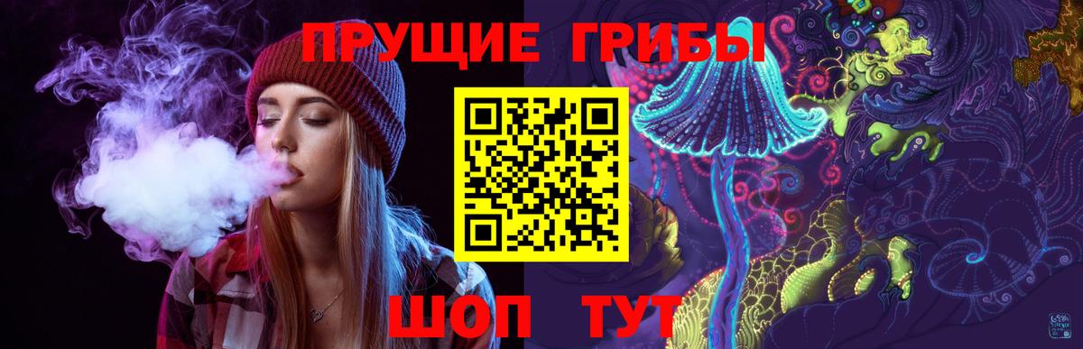 Псилоцибиновые грибы Psilocybine cubensis  Вход с VPN  Майкоп 