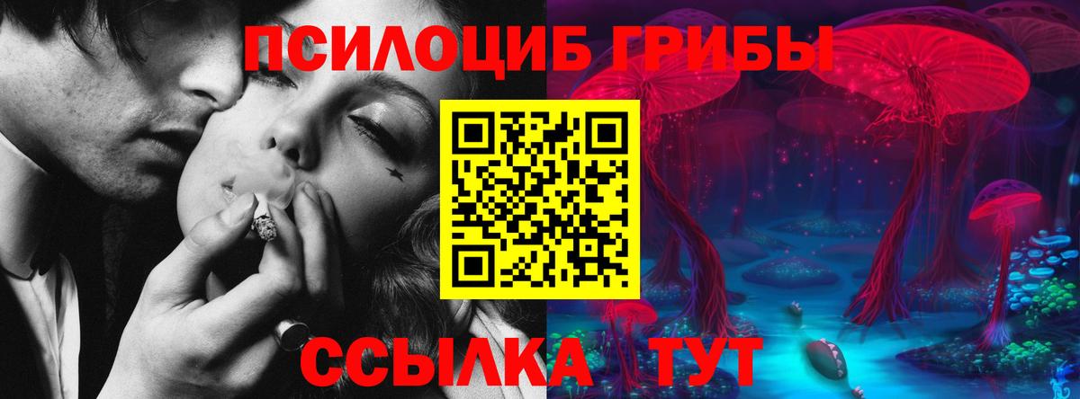 Галлюциногенные грибы мицелий Майкоп