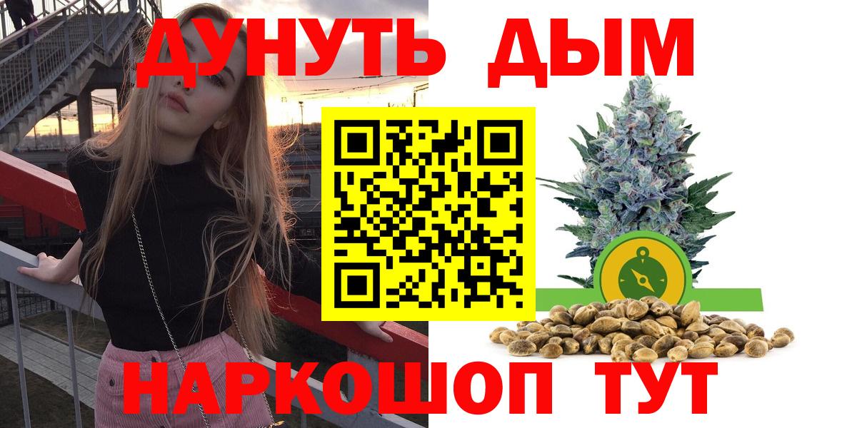 Канабис сатива Майкоп